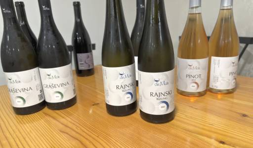 Terenska nastava studenata prve godine – posjet OPG-u Severović i vinariji deMar