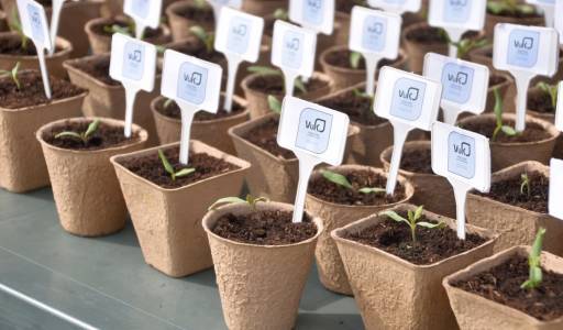 DANI OTVORENIH VRATA U VUK-u