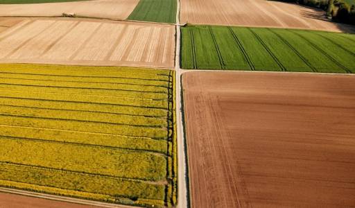 Okrugli stol - Izazovi poljoprivredne proizvodnje u izmijenjenim političkim i klimatskim prilikama