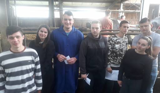 Studenti Visokog gospodarskog učilišta u Križevcima zajedno sa učenicima Srednje gospodarske škole Križevci na pripremama u ocjenjivanju goveda
