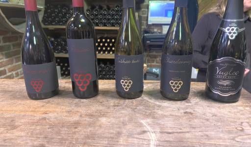 IZVJEŠĆE S TERENSKE NASTAVE – VINOGRADARSTVO I VINARSTVO