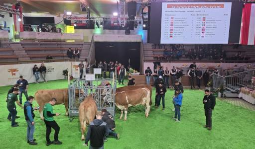 Izvješće o sudjelovanju na natjecanju i studijskom putovanju u Austriju (20. – 22. ožujka)