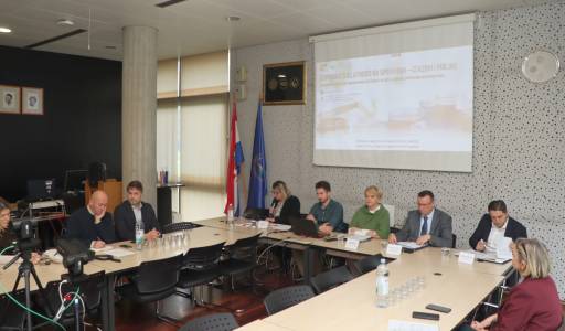 DOPUNSKE DJELATNOSTI NA OPG-ovima: IZAZOVI I PRILIKE