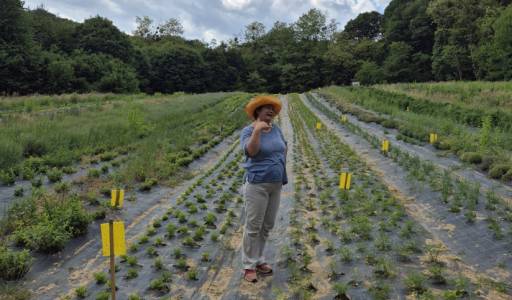 „International Summer School: Quality and Use of Plant Based Ingredients“