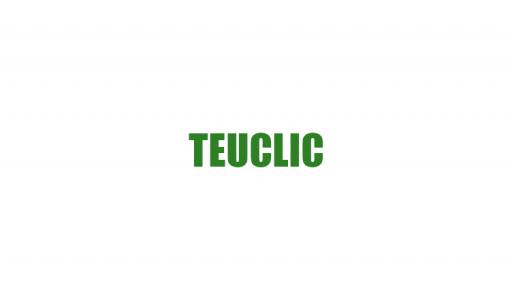 Projekt TEUCLIC