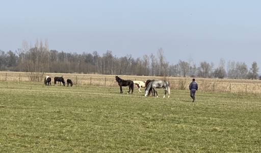 Održan drugi jednodnevni studijski posjet u sklopu projekta EquiEdu