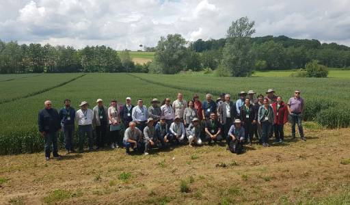 Sudionici Međunarodnog putujućeg seminara o ozimoj pšenici (International Winter Wheat Travelling Seminar) obišli pokusne površine Učilišta