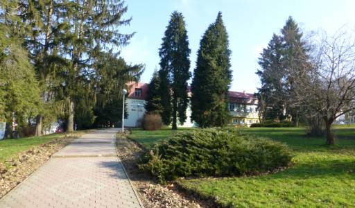 General information about KUAS