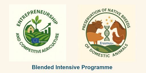 Blended Intensive Programme