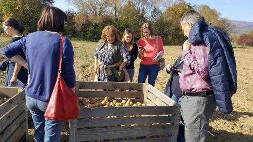 Terenska nastava u Požegi