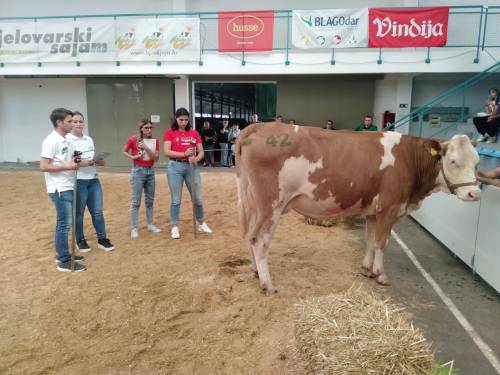 Fotogalerija Sajam u Gudovcu