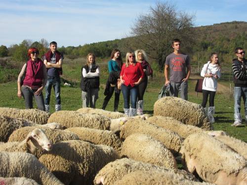 Terenska nastava redovitih studenata smjera zootehnika iz predmeta Mljekarstvo i sirarstvo