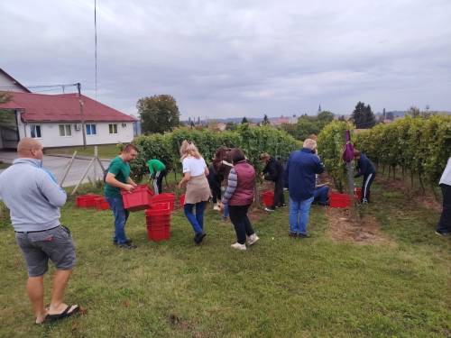 Fotogalerija