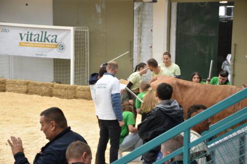FOTOGALERIJA
