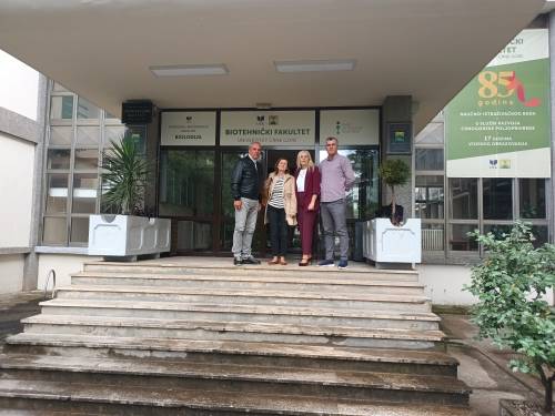 Fotogalerija