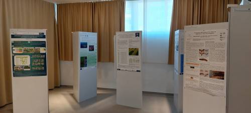 Fotogalerija