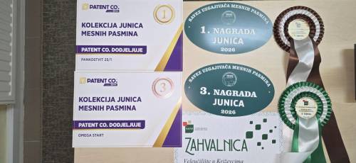 Fotogalerija