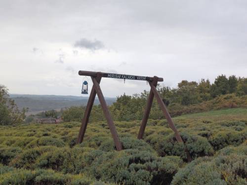 Fotogalerija_2