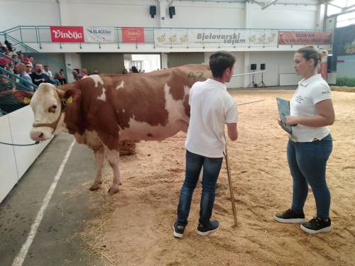 Fotogalerija Sajam u Gudovcu